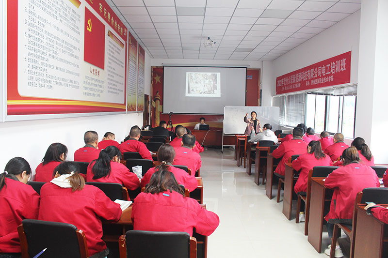 開展電工技能培訓，助力一線隊伍素質提升
