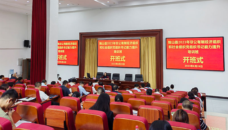 黨務培訓強本領  強基固本促提升 — 公司黨支部參加獨山縣非公黨組織黨務工作能力提升培訓